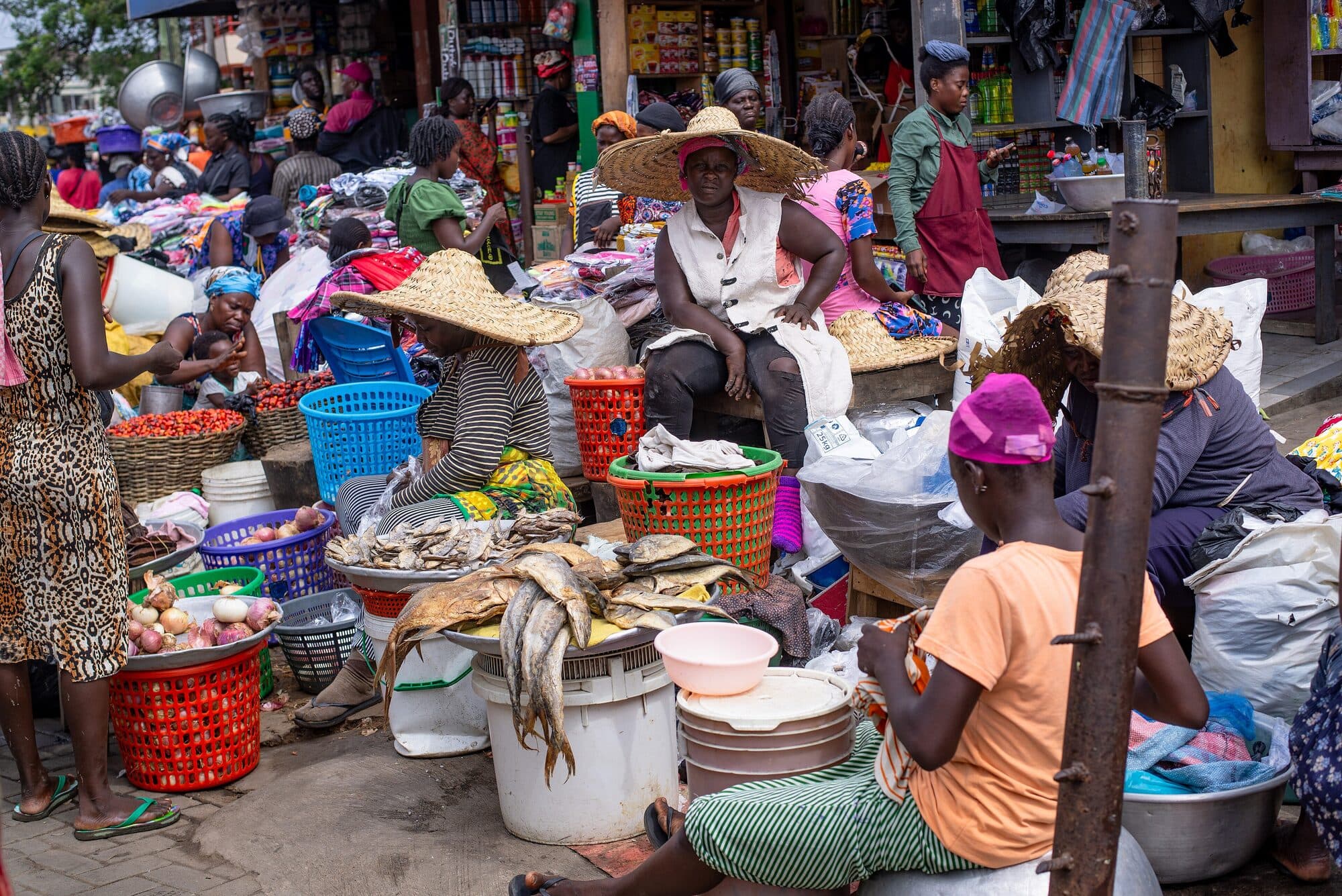 Traders seated behind baskets of produce and dried fish